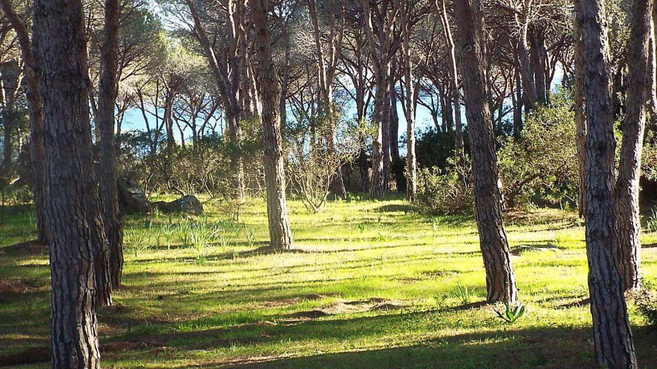 Villetta Con Giardino A Budoni Eksteriør bilde